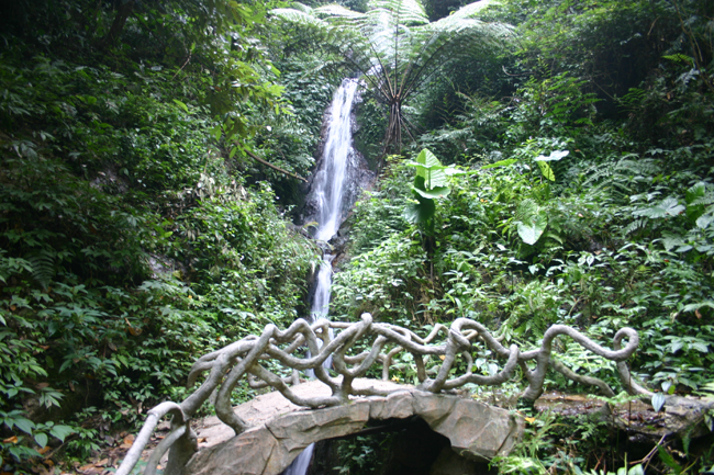 欢迎访问广东天井山国家森林公园