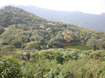 欢迎访问广东天井山国家森林公园