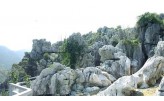 浙江三衢石林