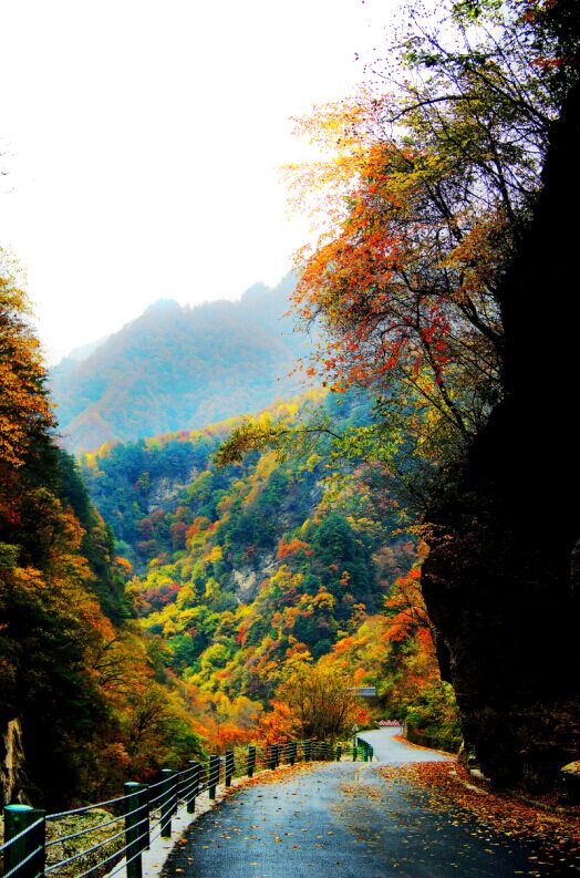 红河谷森林公园位于陕西省眉县境内,地处秦岭主峰太白山北麓红河流域