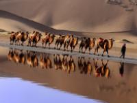 宁夏沙湖生态旅游区