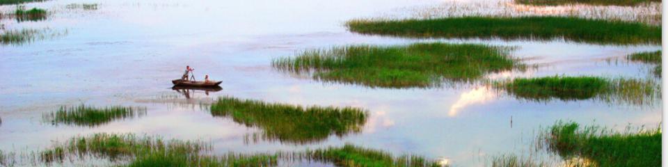 衡水湖国家自然保护区
