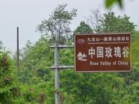 中国玫瑰谷