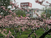 国际标榜旅游区