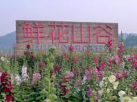 鲜花山谷旅游景区