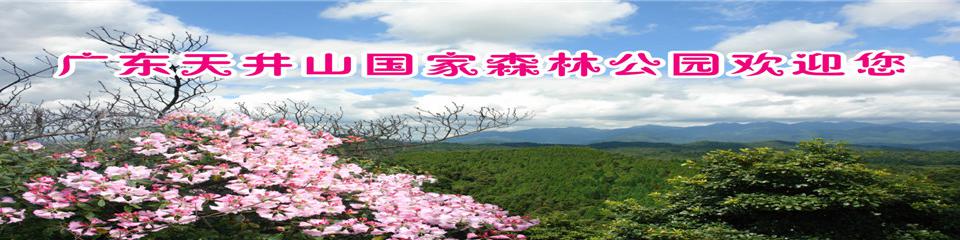广东天井山国家森林公园