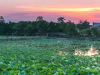 田东横山古寨旅游区
