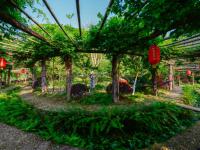 开州盛山植物园